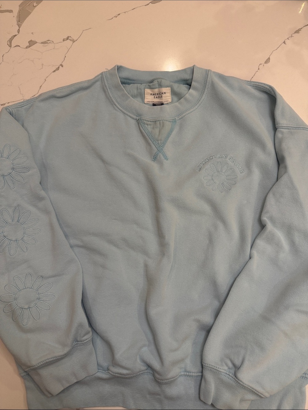 American Eagle Outfitters Light Blue Crewneck Sweater with Daisy Embroidery